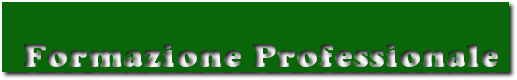 formazione professionale